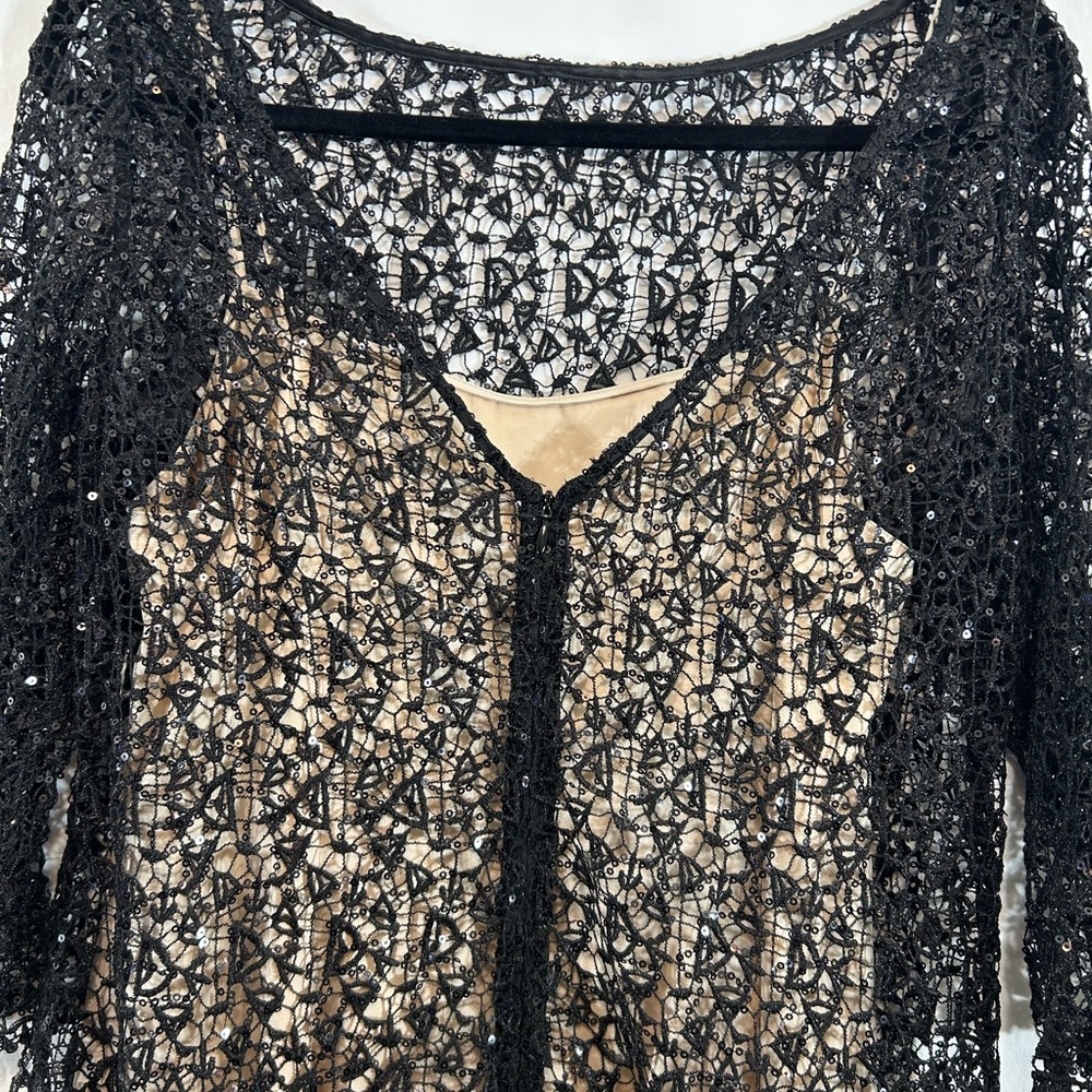 Kay Unger Black and Beige Cocktail Dress Black Lace/Tiny Sequins Size 10 - Picture 6 of 13